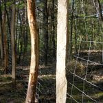 Na Pietraszach powstały dwie remizy leśne