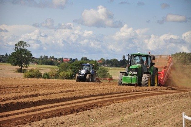 Rolnicy wpiszą się do spisu rolnego na nowych zasadach