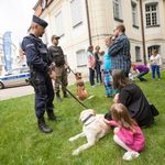 Co na lato przygotowało Muzeum Wojska? 