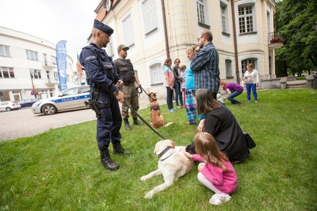 Co na lato przygotowało Muzeum Wojska? 