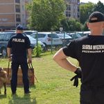 Psy policyjne i więzienne przeszły szkolenie