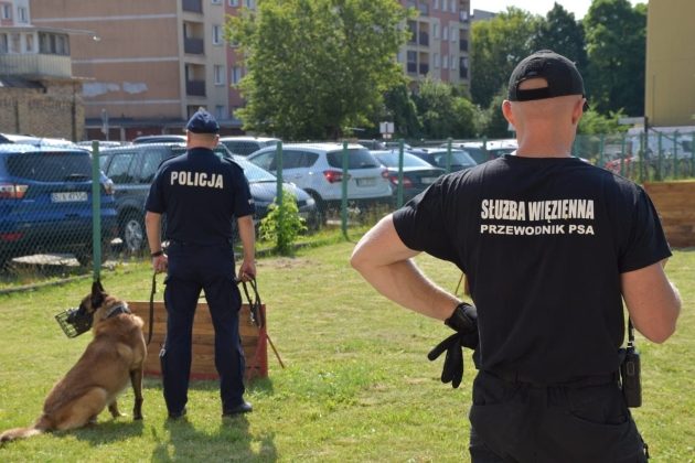 Psy policyjne i więzienne przeszły szkolenie