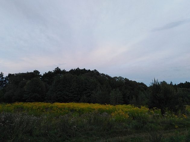 Upalny początek tygodnia