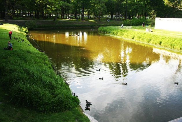 Kaczkomaty uchronią przed anielskim skrzydłem