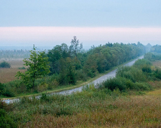 Carska droga do wycinki. Malownicza trasa zostanie pozbawiona 700 drzew