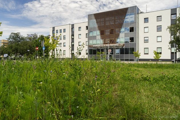 Coraz więcej łąk kwietnych. Te będą cieszyć oczy studentów