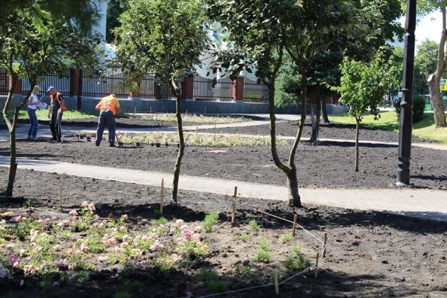 Skwer przy cerkwi w Wasilkowie. Kolorystyka kwiatów nie jest przypadkowa