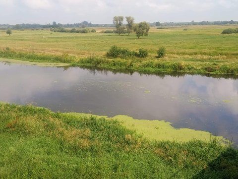 Słoneczny piątek w mieście