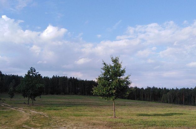 Już nie upalnie, ale wciąż ciepło