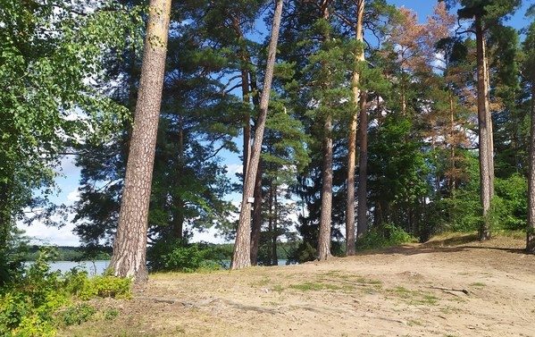 Prace na plaży Dąbek. Powstaną m.in. miejsca rekreacyjne, siłownia, ścieżka dydaktyczna