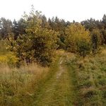 Rozpoczynamy kolejny miesiąc. Jaki będzie?