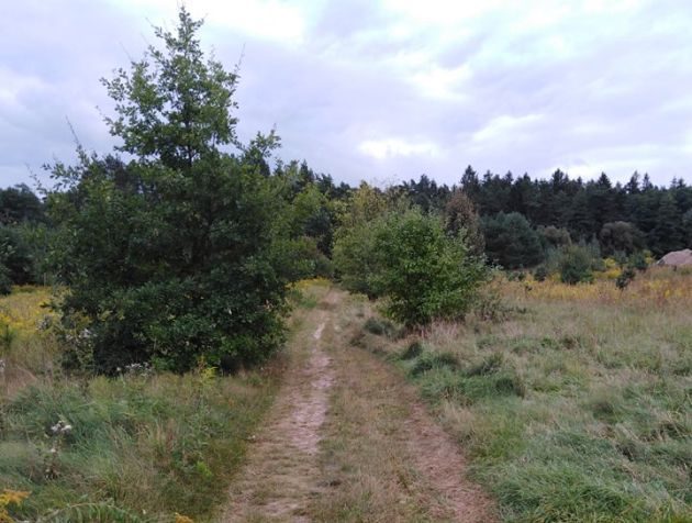 Więcej przejaśnień w ciągu dnia