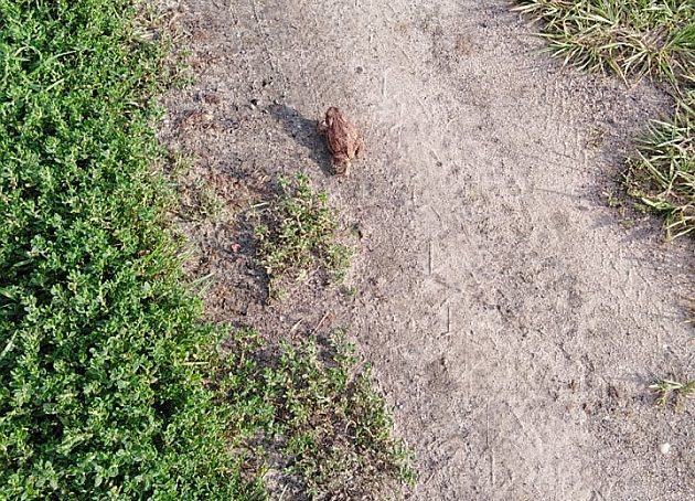 Z wysokim ciśnieniem i sporą ilością promieni słońca - taki będzie wtorek w mieście