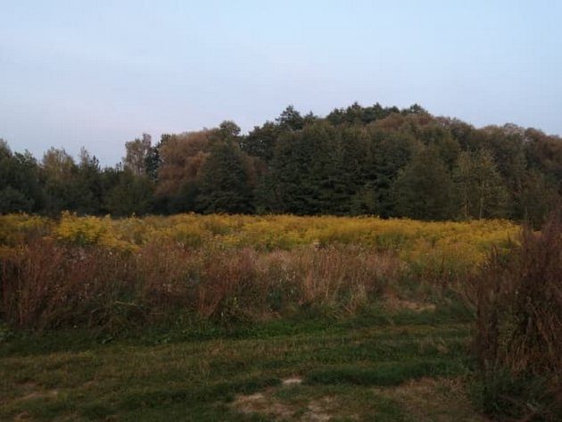 Pogoda ponownie dopisze. Ile stopni zanotują dziś termometry?