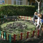Pierwsze sadzenie żonkili w ramach "Pól Nadziei". W ubiegłym roku było ich 7 tys.