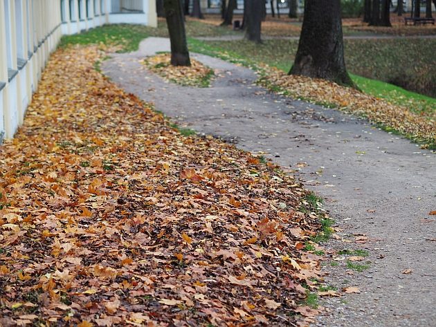 Skok temperatury, a spadek ciśnienia