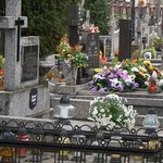 W Białymstoku 1 listopada będzie darmowa komunikacja miejska. Co z cmentarzami?