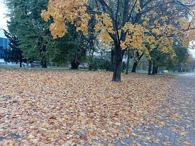 Pogoda na weekend. Niewykluczone są opady deszczu