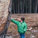 Linia Nadziei, czyli numer do zgłaszania zaginięć i uzyskiwania porad