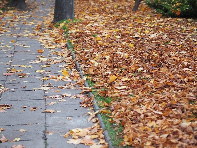 Trochę promieni wyjrzy zza chmur