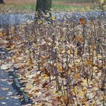 Pogoda na weekend. Niewykluczone są opady deszczu