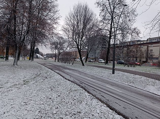 Rozpoczynamy grudzień. Pierwszy dzień zapowiada się dość mroźno