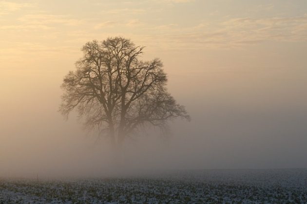 Gęsta mgła w Podlaskiem. IMGW ostrzega