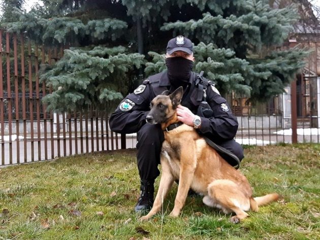 Nastolatkowie kradli grzejniki. Włamywaczy wytropił Larry