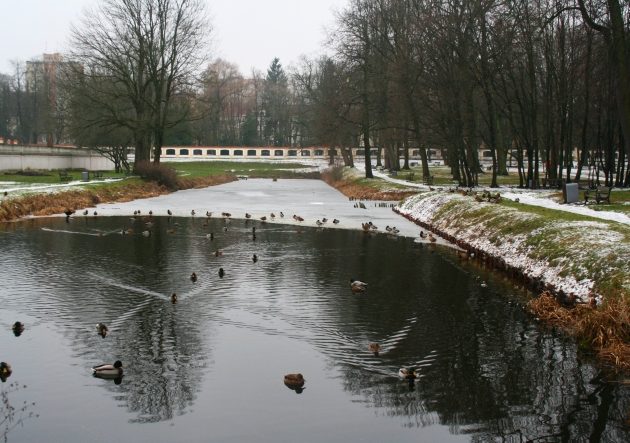 Weekend zaskoczy nas promieniami słońca. Temperatura na plusie