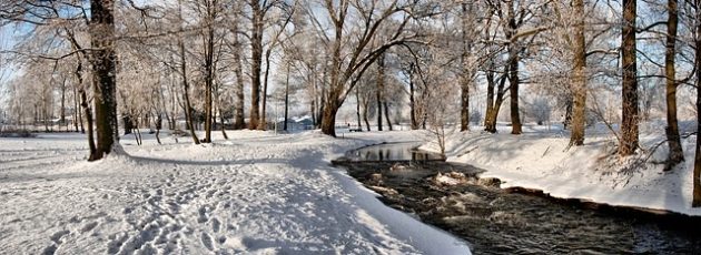 Osady bałtyjskie nad Czarną Hańczą, czyli promocja książki o regionie