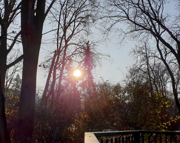 Jaką pogodę przyniesie nam Nowy Rok? Prognoza dla Białegostoku