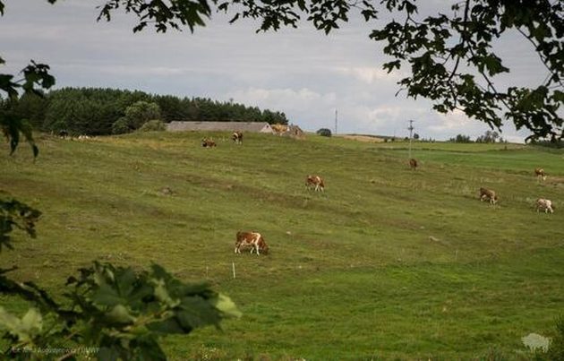 Podlasie straciło pięć wsi