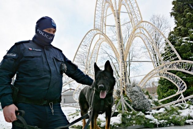 Zdzisiek dołączył do policji