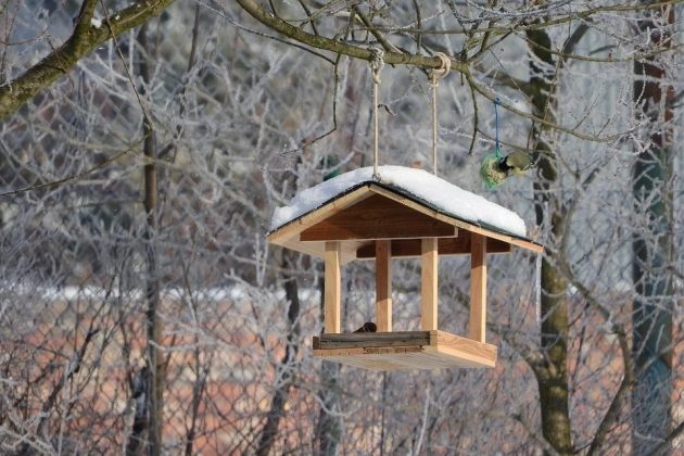 Mroźny wtorek w mieście. Odczuwalna temperatura sięgnie nawet -9°C