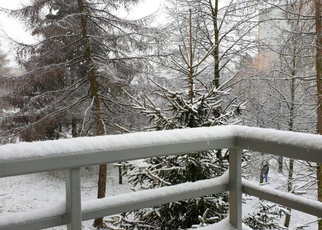 Temperatura coraz gwałtowniej spada. Mrozy potrwają kilka dni