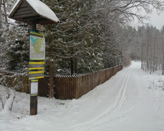 Stoki zamknięte? Wybierz się na narty do Parku Narodowego