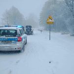 Samochód wpadł w poślizg. Trzy osoby trafiły do szpitala