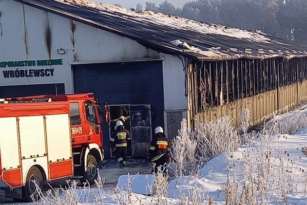 Pożar obory. Spaliło się około 200 krów