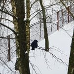 Czas na odwilż. W Białymstoku temperatura nawet do 5°C