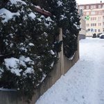 Czwartek w Białymstoku. Opady śniegu nie są prognozowane