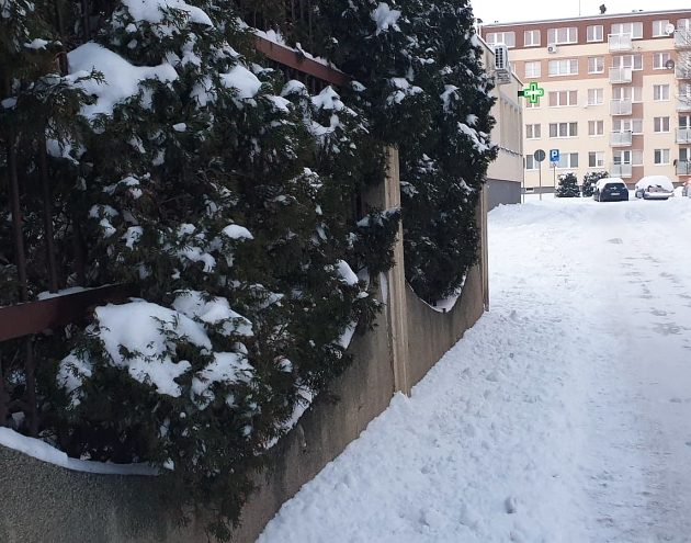 Czwartek w Białymstoku. Opady śniegu nie są prognozowane