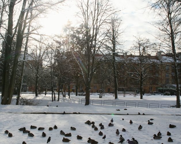 Kolejny spadek temperatury. W piątek odczuwalna sięgnie nawet -8°C