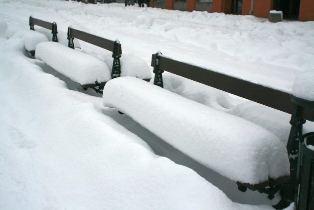 Mroźny dzień w Białymstoku. Prognozowane są opady śniegu