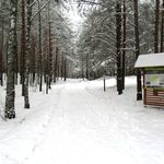 Sport i rekreacja w otoczeniu łosi, saren czy wilków. BPN przyszykował trasy narciarskie