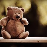 We Wrocławiu są krasnale, w Białymstoku będą niedźwiadki? Powrócił projekt "WidziMisie"