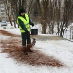 Fusy z kawy zamiast soli na chodnikach wielu miast. Co na to Białystok?