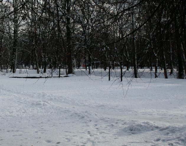 Półmetek tygodnia. W Białymstoku śnieg popada, ale znacznie mniej