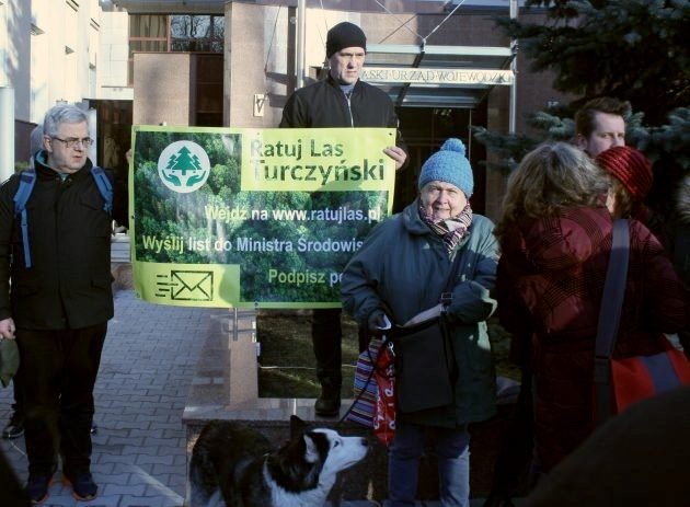 Las Turczyński uratowany. Zamiast wycinki będzie świętowanie