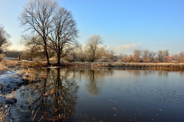 Akcja na Narwi. Służby szukają mężczyzny, który skoczył z mostu