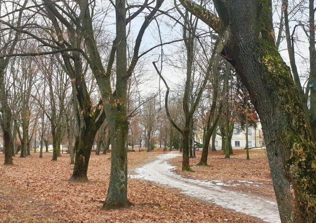 Zima powoli wraca na Podlasie. W nocy będą przymrozki